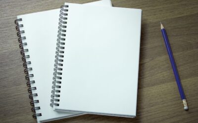 Ogłoszenie otwartego konkursu ofert na realizację zadań publicznych Województwa Śląskiego w zakresie wspierania rodziny i systemu pieczy zastępczej – zapewnienie instytucjonalnej pieczy zastępczej w roku 2021
