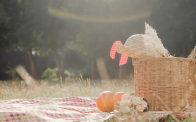 Piknik Rodzinny – Razem z&nbsp;Nami!
