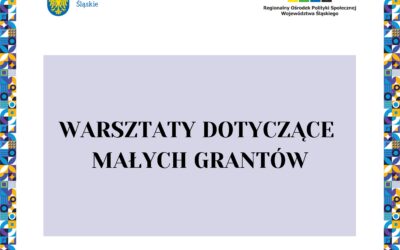 Warsztaty dotyczące Małych Grantów