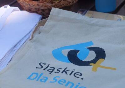 Silver Silesia w Wiśle