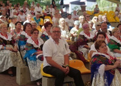 Silver Silesia w Wiśle