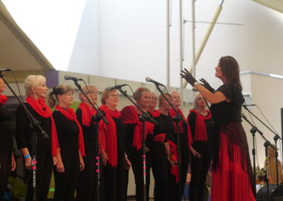 Silver Silesia w Wiśle