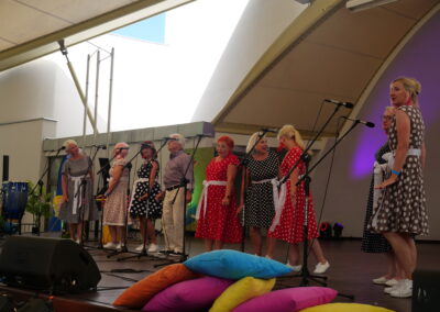 Silver Silesia w Wiśle