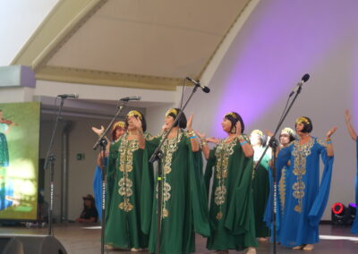 Silver Silesia w Wiśle