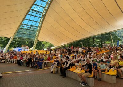 Silver Silesia w Wiśle