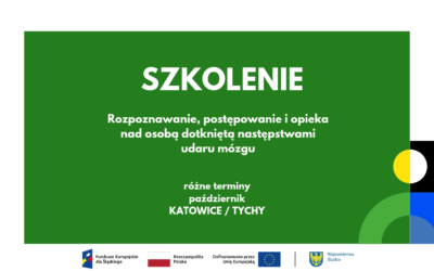 Szkolenie | Rozpoznawanie, postępowanie i&nbsp;opieka nad&nbsp;osobą dotkniętą następstwami udaru mózgu – październik (różne terminy), Katowice / Tychy